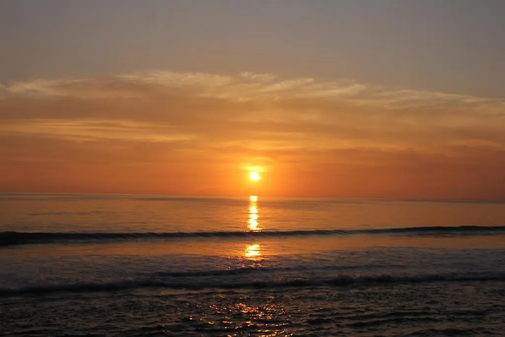 Maya Gardens @ Mohans Varkala 0*,